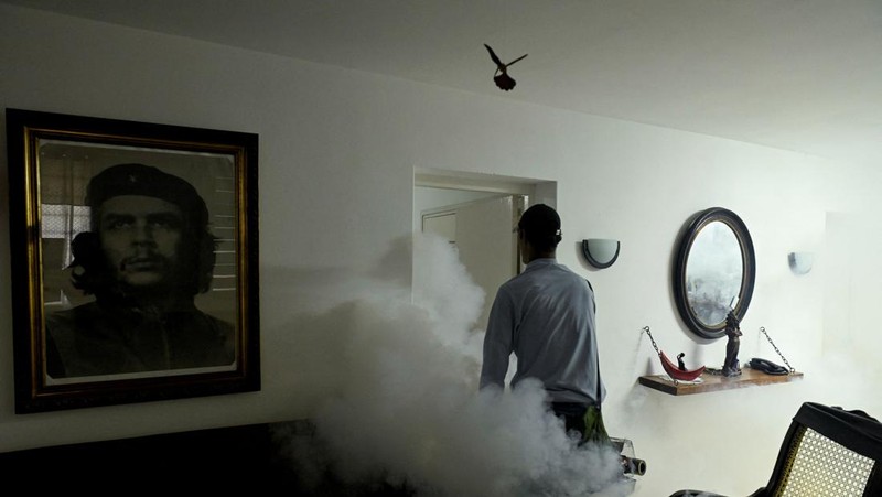 Competitors run during the 39th edition of the Marabana marathon in Havana, Cuba, November 16, 2025. REUTERS/Norlys Perez