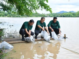 Bank NTB Syariah Gelar Aksi Hijau di Bendungan Penyaring Sumbawa