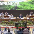 Setoran Bea Cukai Tumbuh 7,9% Jadi Rp249 T di Akhir Oktober 2025