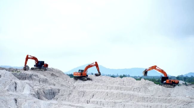 Izin Tambang Dicabut Dialihkan ke BUMN, Ahli Buka Suara