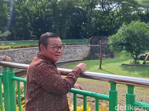 Pramono Curiga Viral Harimau Kurus Aksi Pihak Tak Suka Revitalisasi Ragunan