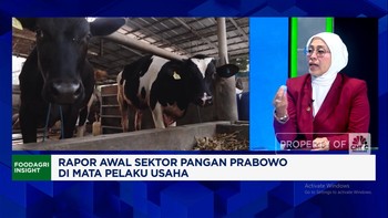 Video: Rapor Pangan Tahun Pertama Prabowo, Pengusaha Bilang Begini