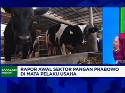 Video: Rapor Pangan Tahun Pertama Prabowo, Pengusaha Bilang Begini