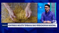 Video: Cukai Tak Naik - Rokok Ilegal, Begini Nasib Industri Tembakau