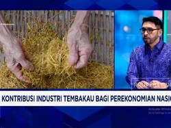 Video: Cukai Tak Naik - Rokok Ilegal, Begini Nasib Industri Tembakau