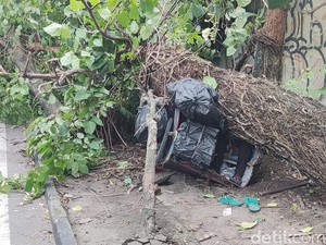 Pohon Besar Tumbang Timpa Becak di Sleman, 2 Orang Tewas