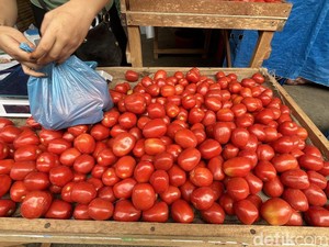 Harga Tomat di Binjai Naik Jadi Rp 20.000/kg, Pembeli Kurangi Konsumsi