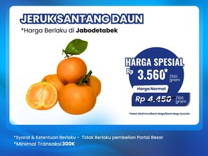 Jeruk Santang Daun Cuma Rp 3.560/100 Gram di Transmart Full Day Sale