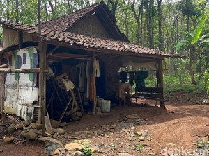 7 Fakta Kisah Manusia Hutan Tinggal di Pedalaman Mojokerto-Jombang