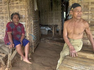 Begini Cara Bertahan Hidup 3 Keluarga Manusia Hutan Mojokerto-Jombang