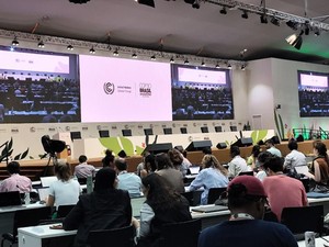 Di COP30 Brasil, Indonesia Komitmen Perkuat Ketahanan Iklim