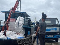 Terungkap Jalur Masuk Beras Ilegal yang Bikin Rugi Petani Lokal