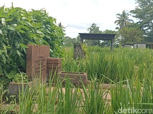 Menengok Makam Belanda Alias Bong Londo di Blitar yang Kini Jadi Sawah