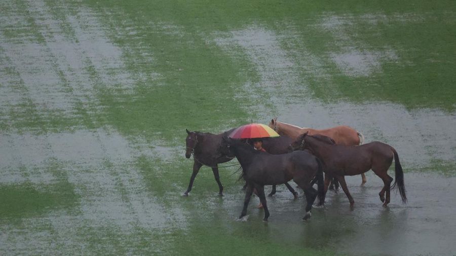 Pemandangan drone menunjukkan orang-orang berjalan di daerah banjir di distrik Hat Yai, Songkhla, Thailand, 23 November 2025. (REUTERS/Roylee Suriyaworakul)