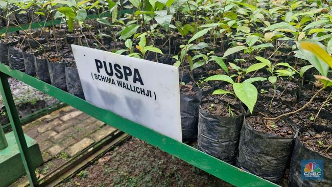 Hijau Pongkor dan Kisah Perempuan Penjaga Ketahanan Pangan Desa