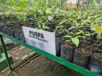 Hijau Pongkor dan Kisah Perempuan Penjaga Ketahanan Pangan Desa