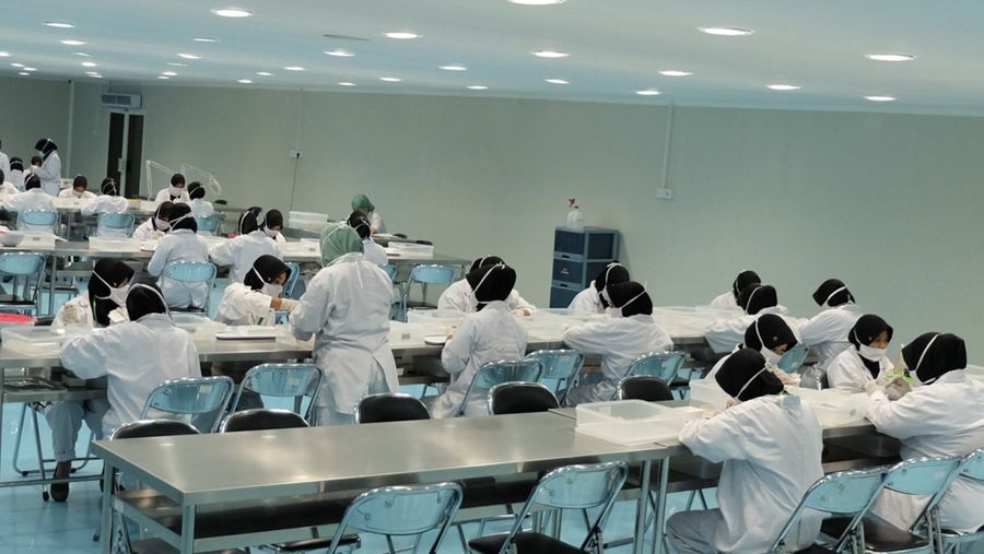 PT. Abadi Lestari Indonesia. (Dok. Abadi Lestari Indonesia)