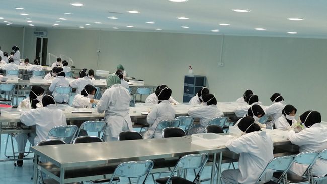 Perusahaan Sarang Burung Walet (RLCO) IPO, Ada Nama Eks Dirut BUMN