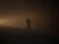 Potret Kabut Asap Selimuti di India, Udara Hampir Masuk Zona Bahaya