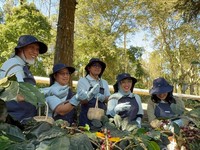 Lewat Teknologi Ini, PGE Bawa Kopi Kamojang Tembus Asia-Eropa