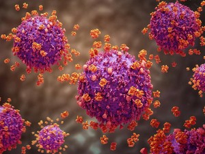 Ebola Kini Selevel COVID-19 di Awal Pandemi, Ini Antisipasi Kemenkes RI