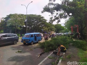 Ada Pemangkasan Pohon, Lalin Urip Sumoharjo Makassar Macet 1 Km
