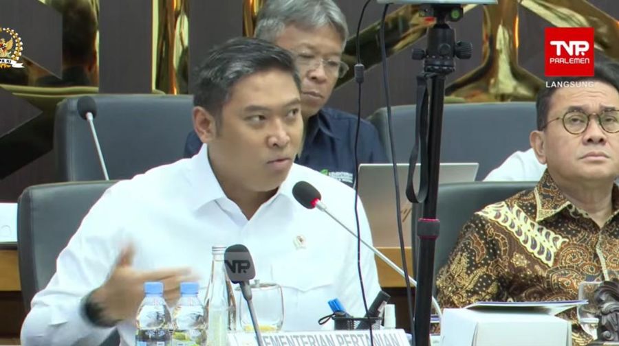 Wakil Menteri Pertanian Sudaryono  dalam Rapat Kerja Penyusunan RUU tentang Komoditas Strategis bersama Baleg DPR RI di Jakarta, Rabu (26/11/2025). (Tangkapan Layar Youtube/DPR RI)