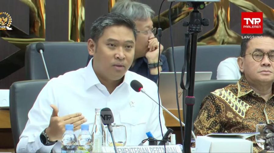 Wakil Menteri Pertanian Sudaryono  dalam Rapat Kerja Penyusunan RUU tentang Komoditas Strategis bersama Baleg DPR RI di Jakarta, Rabu (26/11/2025). (Tangkapan Layar Youtube/DPR RI)