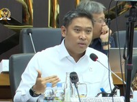 Wamentan Ungkap RI Tolak Mentah-Mentah Buka Impor Daging Ayam Brasil