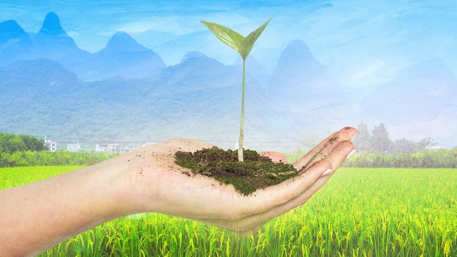 10 Negara dengan Lahan Subur Terluas di Dunia, RI Bikin Nangis!