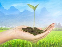 10 Negara dengan Lahan Subur Terluas di Dunia, RI Nomor Berapa?