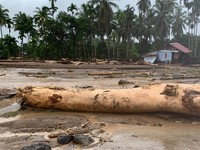 Soal Banjir Sumatra, Bahlil: Efek Tata Kelola Kebun-Tambang Tak Baik