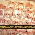 Video: Indonesia Sudah Swasembada Ayam, Impor Tidak Diperlukan