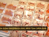Video: Indonesia Sudah Swasembada Ayam, Impor Tidak Diperlukan