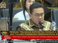 Video: Mendag: Pangan dan Perkebunan Penopang Ekonomi RI