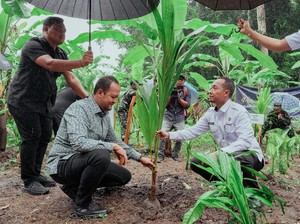 Pemkab Badung Dukung Program Ketahanan Pangan dan Penanaman Kelapa Nasional