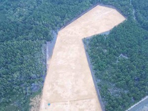Heboh Gubernur Sultra Diduga Babat Mangrove 3 Hektare demi Bangun Rumah