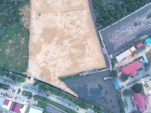 Gubernur Sultra Akui Babat Mangrove 3 Hektare di Kendari Buat Bangun Masjid