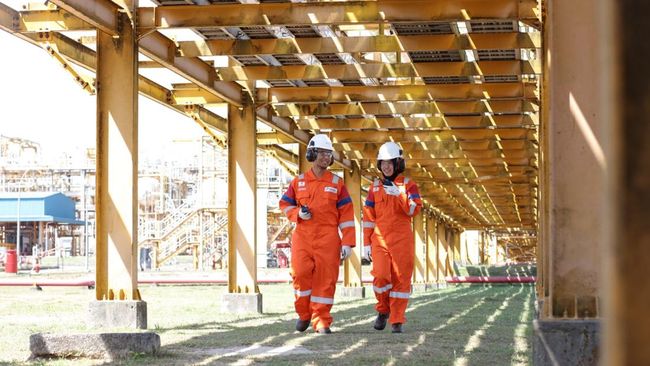 Dorong Produksi Migas Nasional, Pertamina Perkuat Sektor Hulu