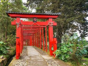 Sakura Hills Tawangmangu, Destinasi Wisata ala Jepang yang Memikat Wisatawan
