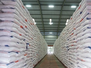 Produksi Beras RI 2025 Naik 13,29%, Capai 34,69 Juta Ton
