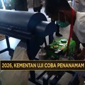 Video: Tahun 2026, Kementan Uji Coba Penanaman Sorgum 5.000 Hektare