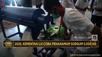 Video: Tahun 2026, Kementan Uji Coba Penanaman Sorgum 5.000 Hektare