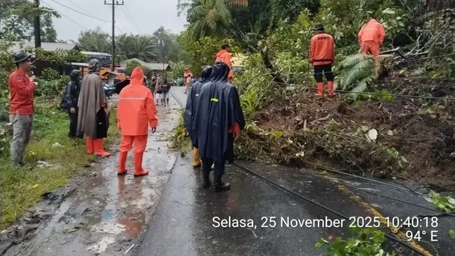 Peneliti Asing Tiba-Tiba Sebut Ada Ancaman di Tapanuli, Ada Apa?
