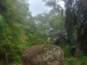 Batu Besar Terguling di Tengah Jalan di Manggarai Barat, Lalin Terganggu