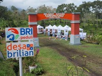 CSR BRI Raih Pengakuan Global Lewat Dua Penghargaan Internasional