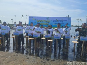 Andra Soni Tanam Mangrove di Serang, Harap 8 Ribu Pohon Tak Hilang