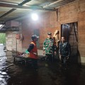 Update Banjir Sumatra: 82 Tewas, 80 Hektar Lahan Perkebunan Lenyap