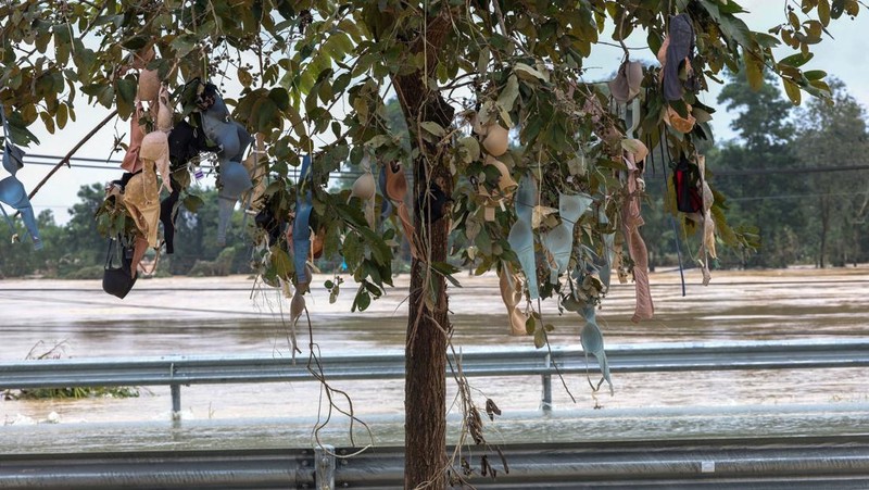 Korban tewas akibat banjir bandang di Thailand bagian selatan terus saat ini mencapai 33 orang. Pihak berwenang menyebutkan hal ini karena hujan deras yang berlangsung terus menerus, Jumat (28/11/2025). (REUTERS/ATHIT PERAWONGMETHA)
