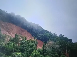 7 Orang Tertimbun Longsor di Pasaman Barat Sumbar, 1 Selamat